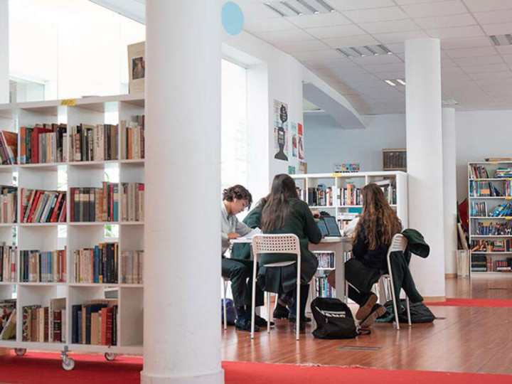 International School San Patricio Toledo