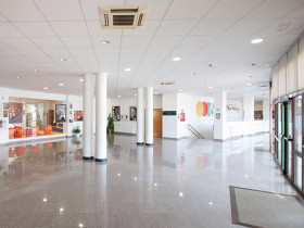 International School San Patricio Toledo