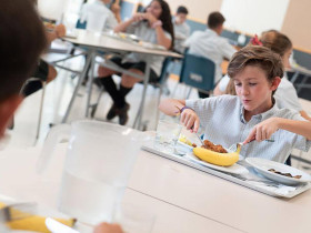 International School San Patricio Toledo