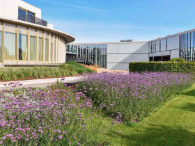 Exupery International School