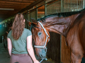 Schloss-Schule Kirchberg