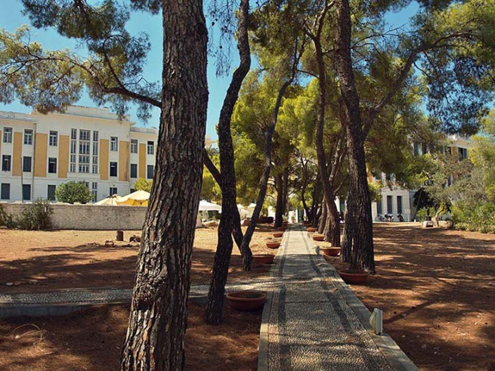 Academic Camp Greece