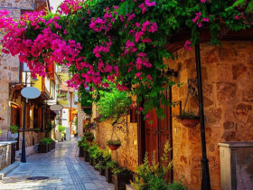 OCA-Camp в Анталье<