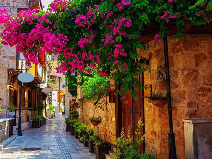 OCA-Camp в Анталье<