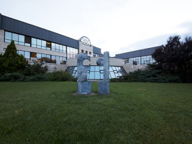 Middle East Technical University