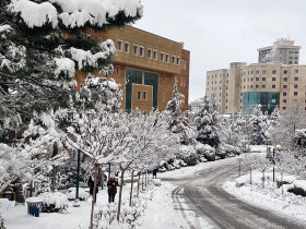 Yeditepe University