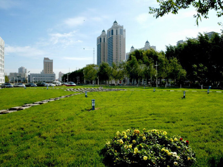 Harbin Institute of Technology