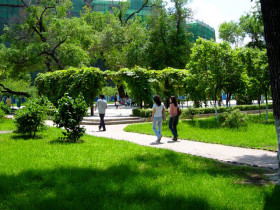 Harbin Institute of Technology