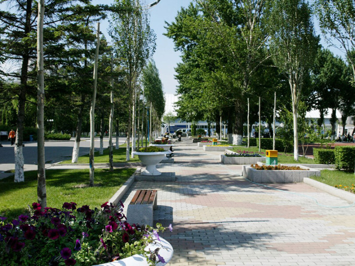 Хэйлунцзянский университет