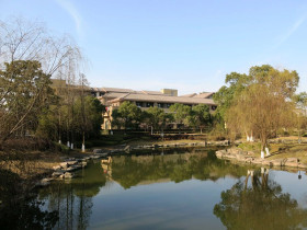 CCN IFP Center Shanghai University of Political Science and Law