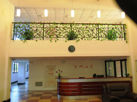 CCN IFP Center Shanghai University of Political Science and Law