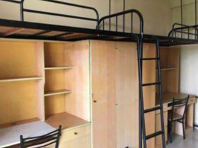 IFP CCN Center Shanghai Industry & Commerce Foreign Language College