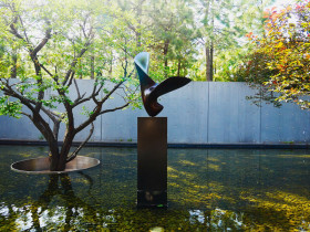 IFP CCN Center Shanghai Industry & Commerce Foreign Language College