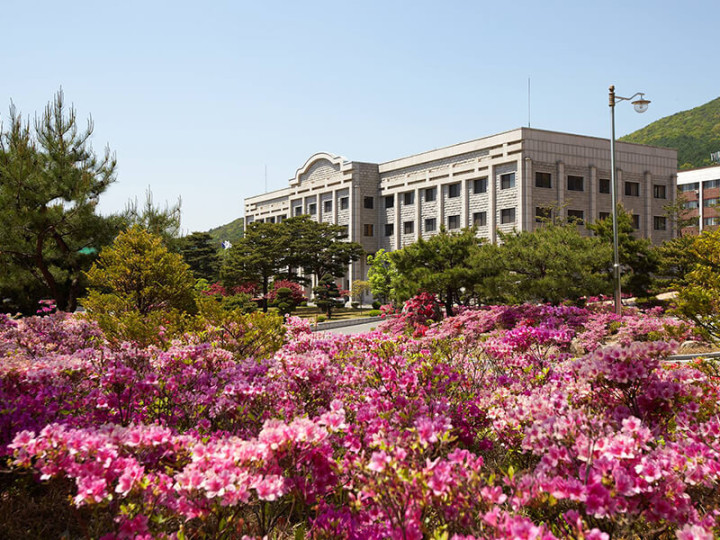 Daejin University