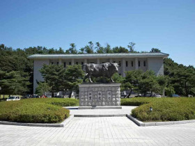 Daejin University