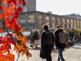 Politecnico di Torino
