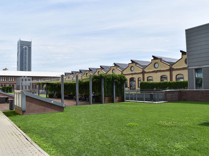 Politecnico di Torino