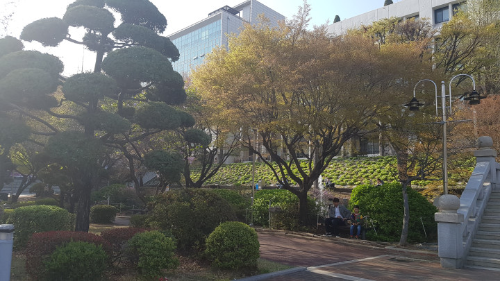 Курсы корейского языка в GLCI при университете Сукменг