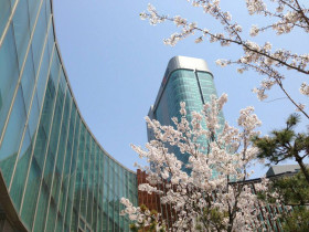 George Mason University Korea