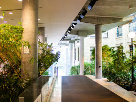 Immerse Education Toronto Summer School