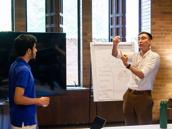 Immerse Education Toronto Summer School