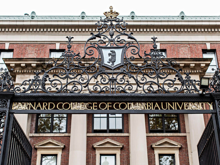 Immerse Education New York