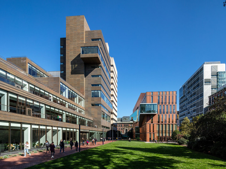 Immerse Education New York