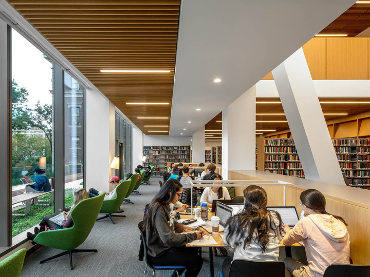 Immerse Education New York