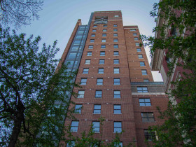 Immerse Education New York