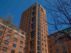 Immerse Education New York