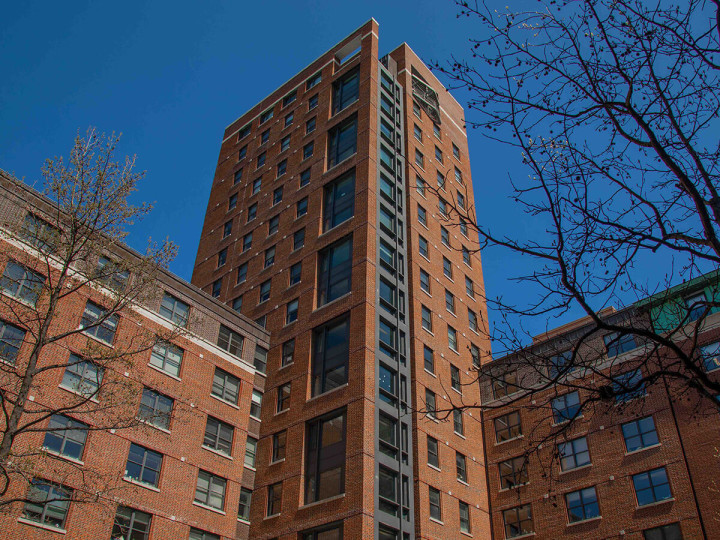 Immerse Education New York