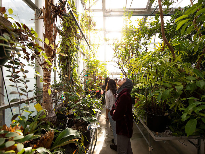 Immerse Education New York