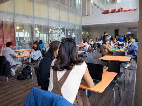 Immerse Education New York