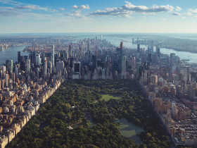 Immerse Education New York