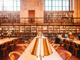 Immerse Education New York