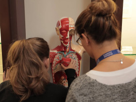 Immerse Education London Summer School