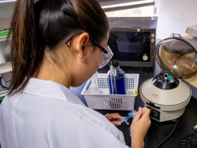 Taejon Christian International School