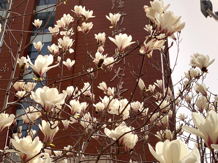 University of International Business and Economics