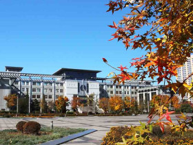 University of Science and Technology Liaoning
