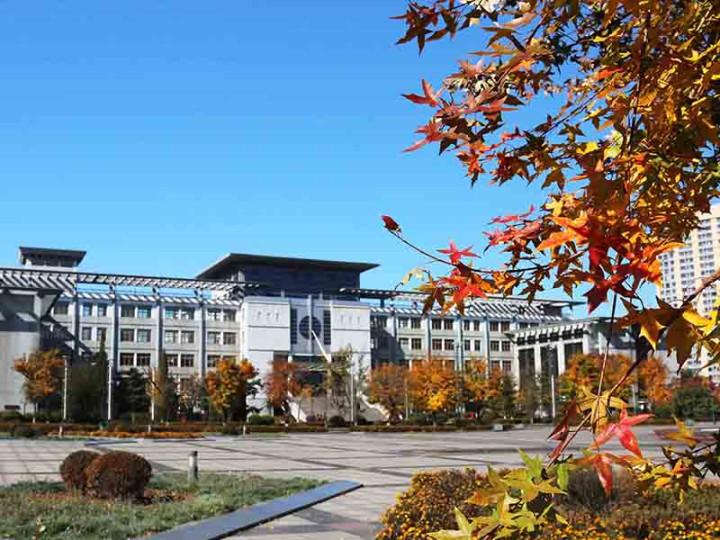 University of Science and Technology Liaoning