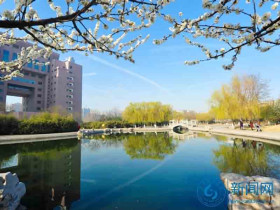 Shandong  University of Technology