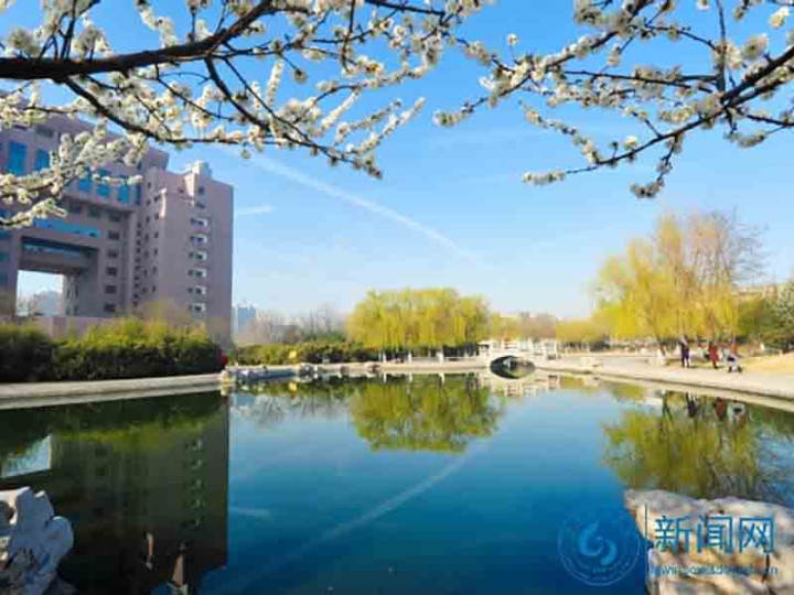 Shandong  University of Technology