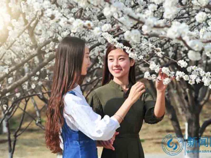 Shandong  University of Technology