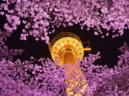 Учись в Корее с  «Глобал Диалог» и получай призы!