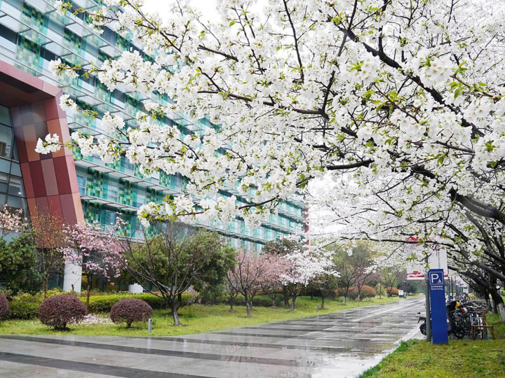 Xi'an  Jiaotong-Liverpool University
