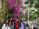 Atlas Language School