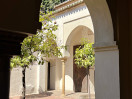 Escuela De Idiomas Nerja