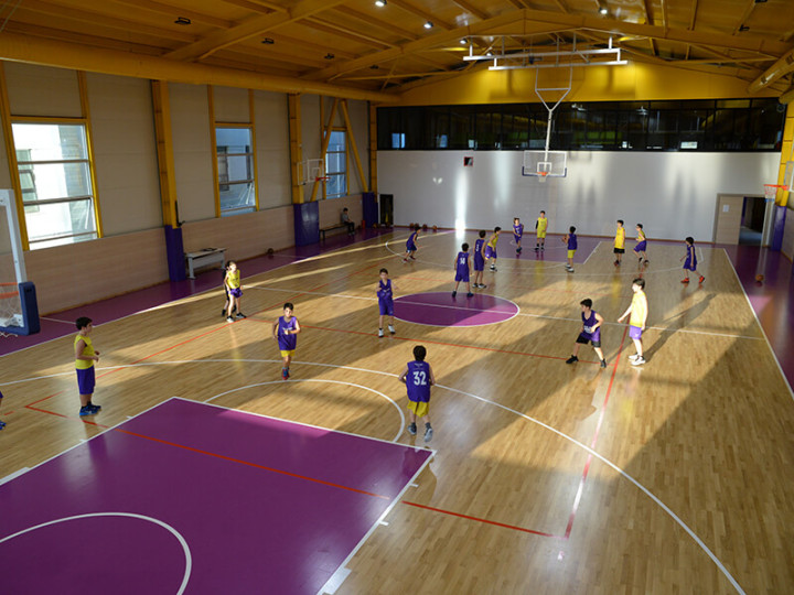 Школа английского языка Natillus