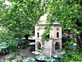 Школа английского языка Natillus