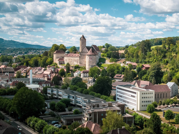 Летний языковой лагерь Saint-Charles